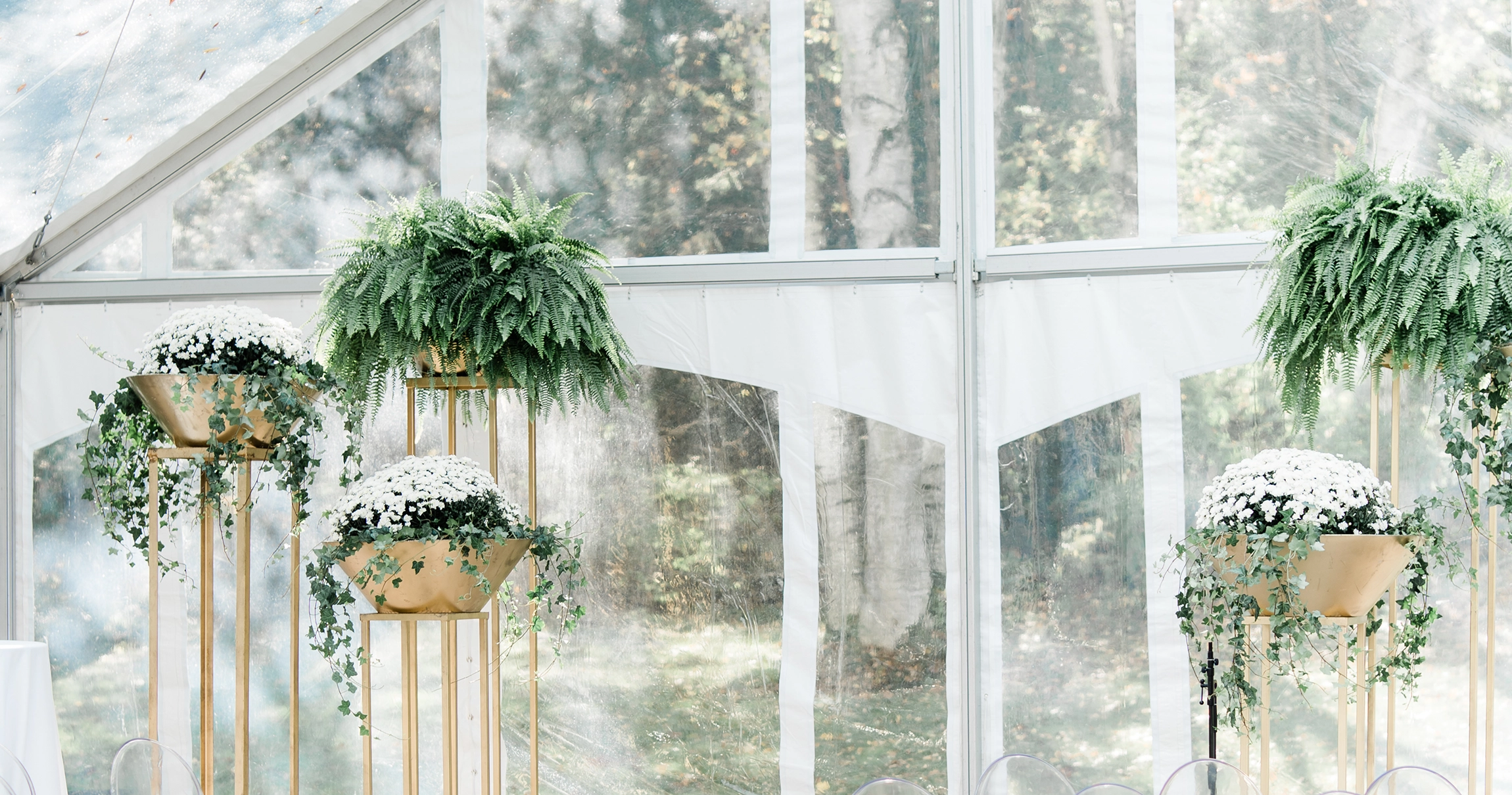 Outdoor tent with clear side panels and hanging ferns