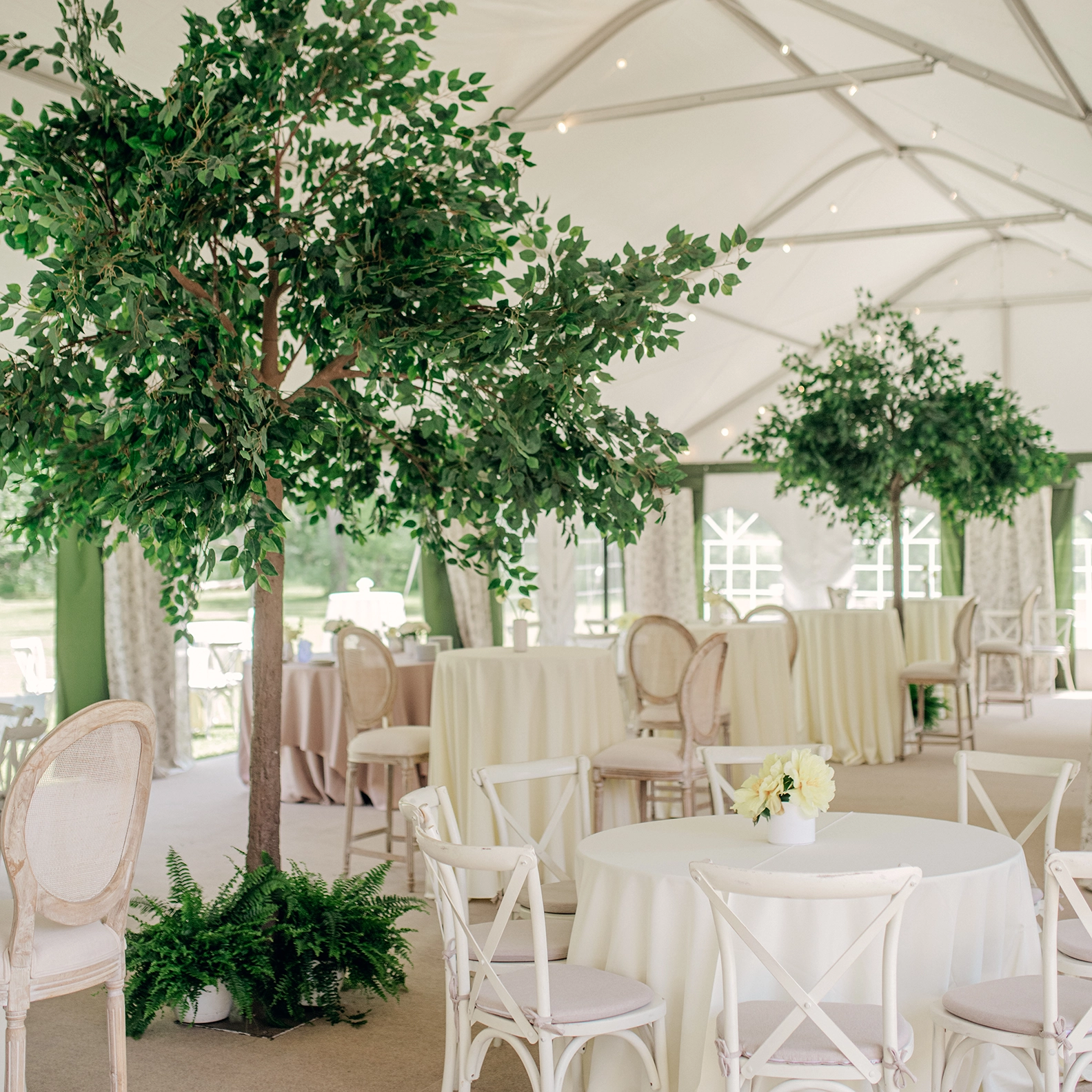 Setup of the Standard Wedding Tent Package from Special Event Rentals